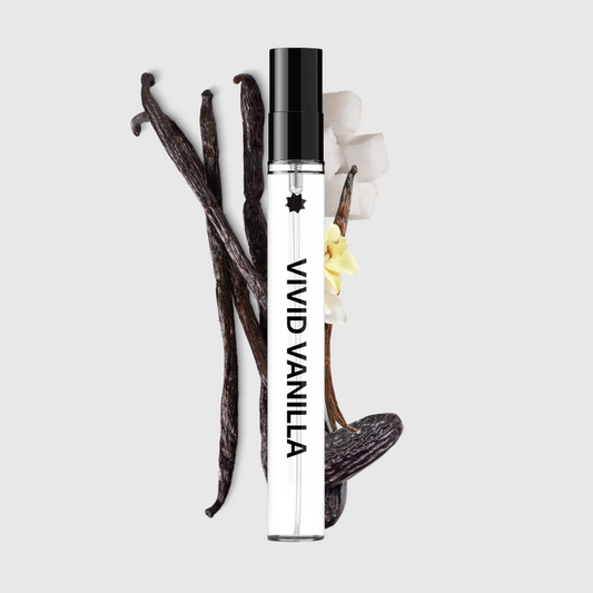 Vivid Vanilla | The Alloura+ Collection